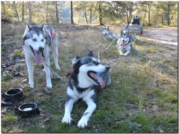 Tour Odenwald 082.jpg